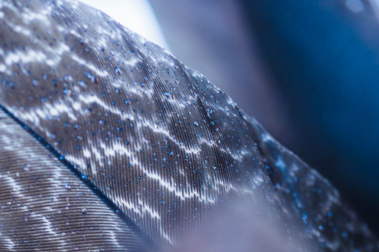 Fiber Glass Raw Materials