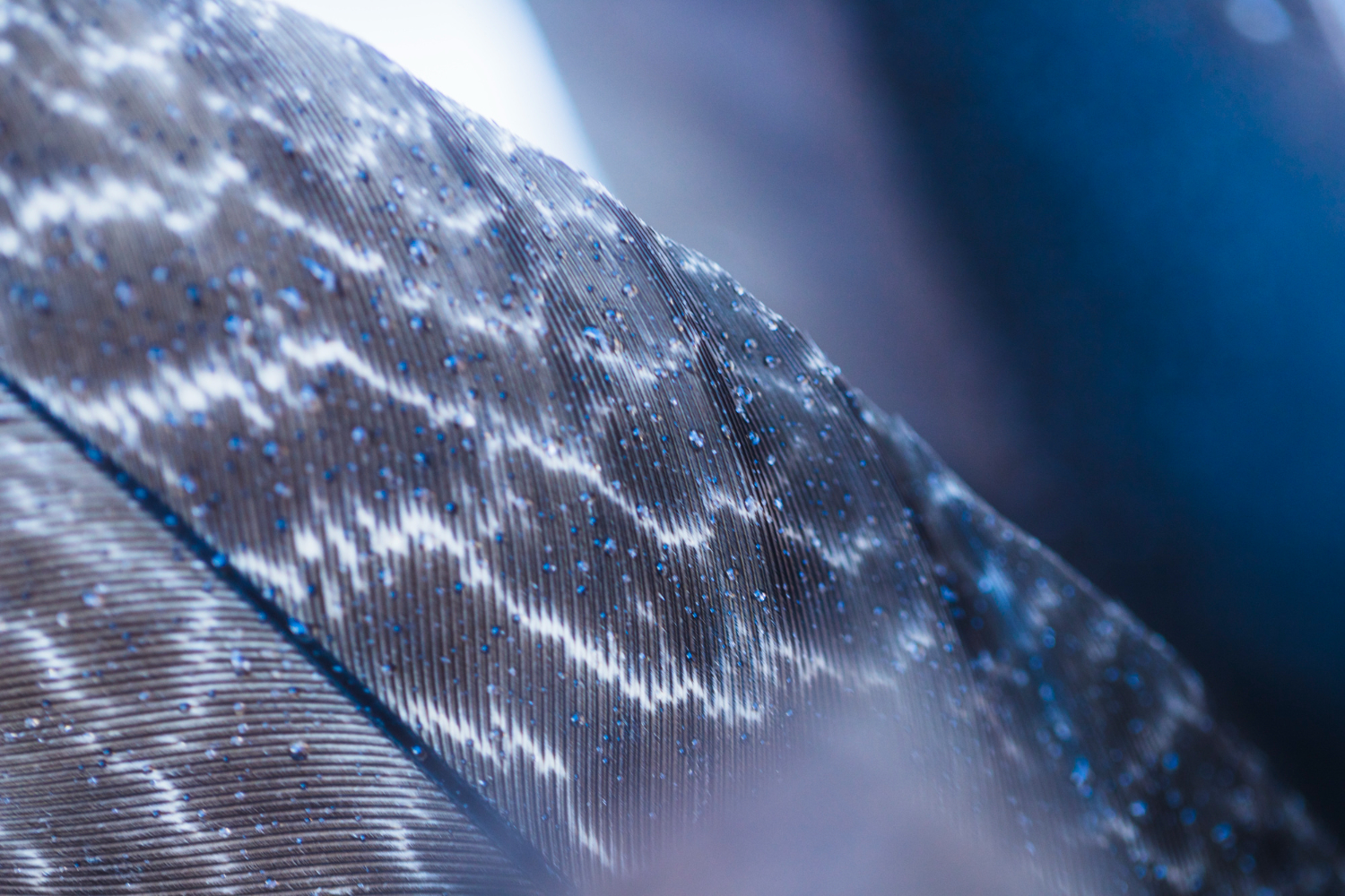 Fiber Glass Raw Materials