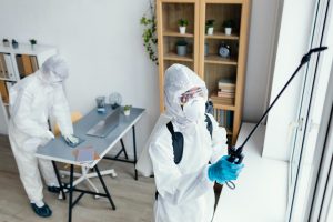 Best Pest Control Services in Kolkata