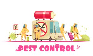 Best Pest Control Services in Kolkata 1