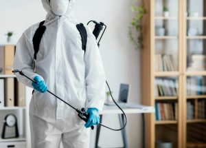 Best Pest Control Services 